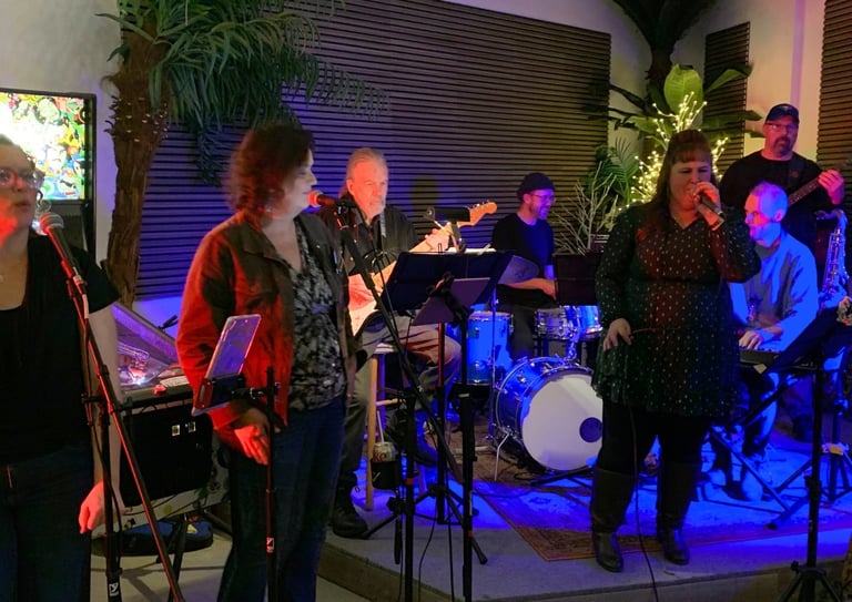Birds of a feather band performing on stage
