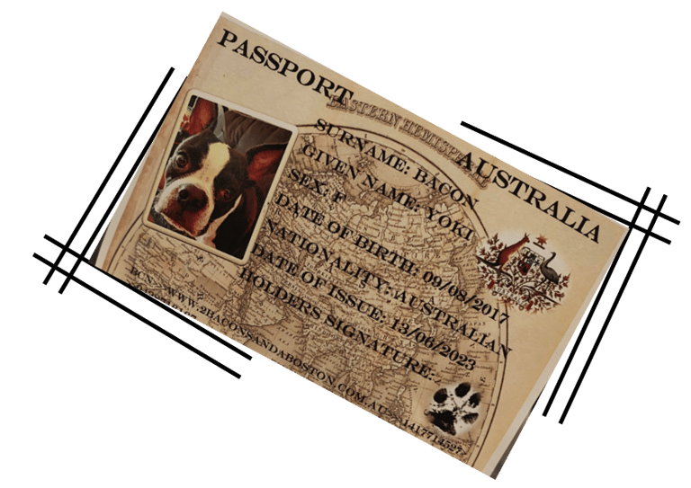 Yoki's pet passport mockup.