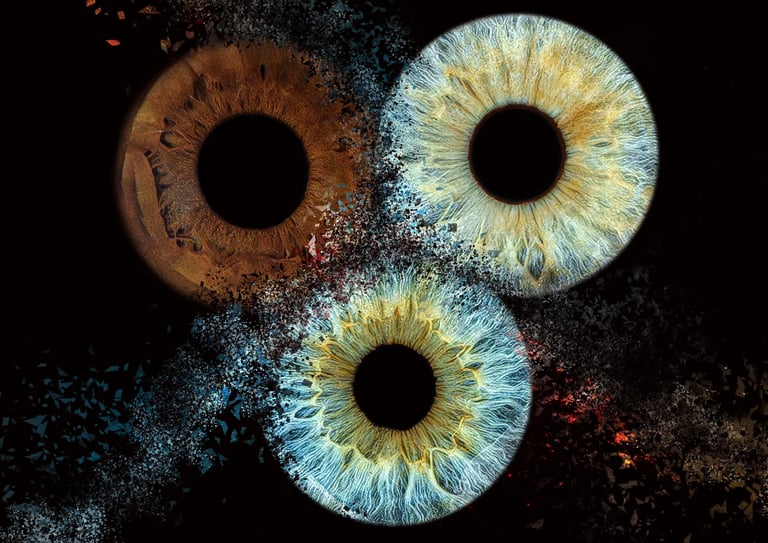 photos d'iris en trio