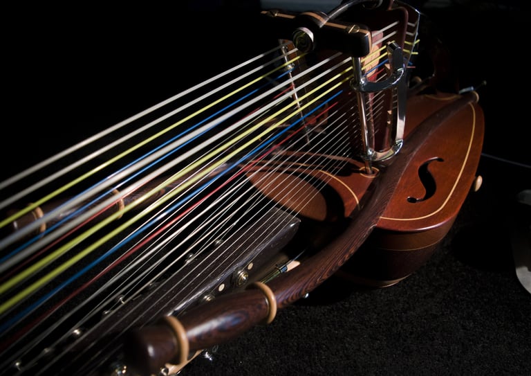 Close-up of the strings of the chromatic kora Jazzy-kora