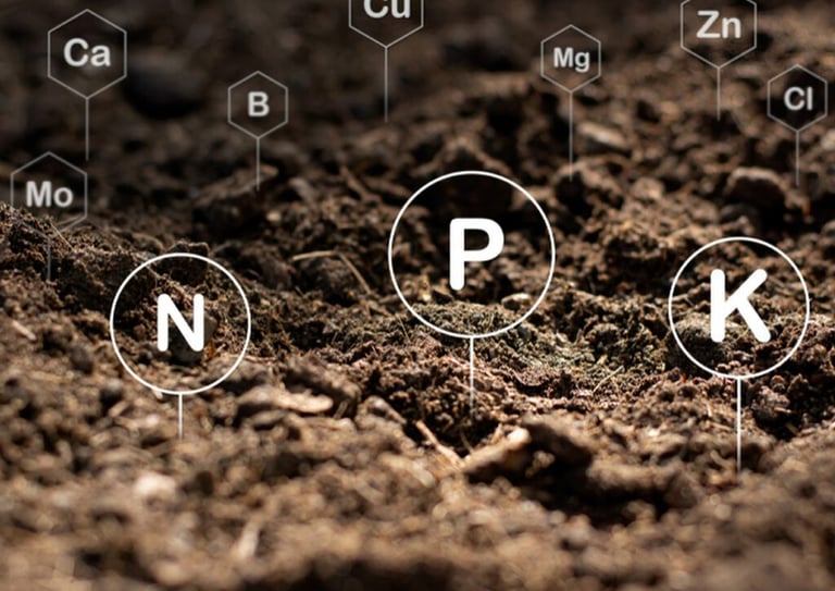 manejo do solo no paisagismo