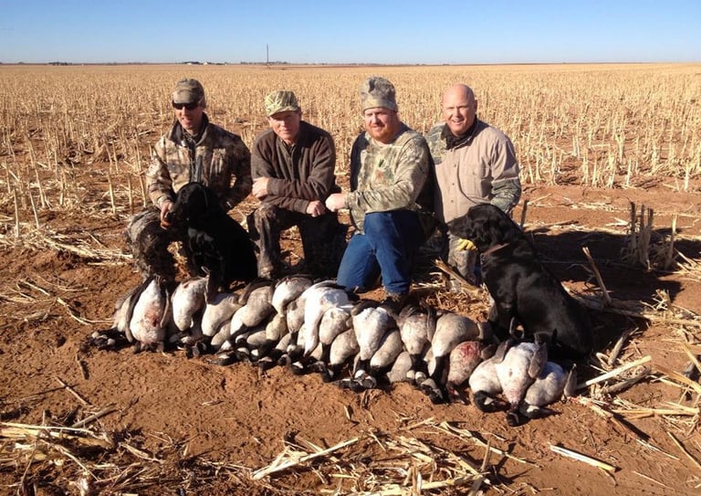 A group of four hunters and their dogs posing with geese in a harvested corn field in West Texas.