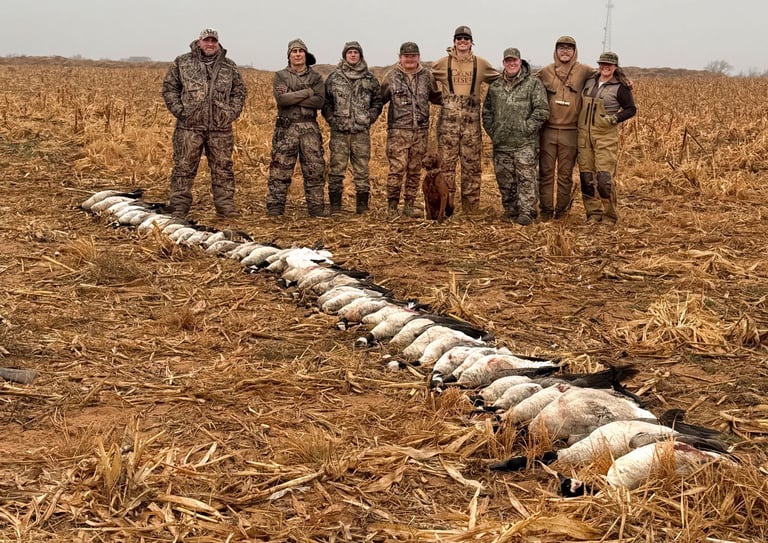 A line of hunters standing behind a long row of harvested geese in a dry Texas corn field.