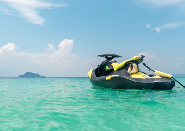 The latest addition to Havelock’s kitty