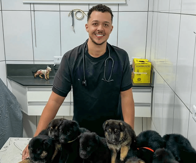 Veterinária em três lagoas