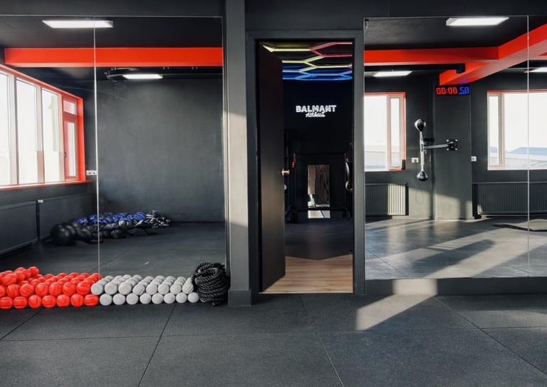 Reykjavik Fight Club