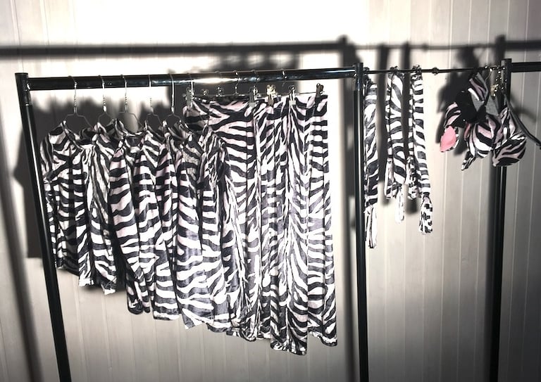 Zebra print costumes including shirts, leggings and ears hanging on a garment rack.