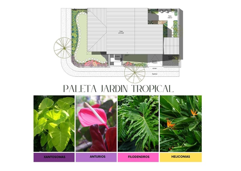 diseño de jardines Cali