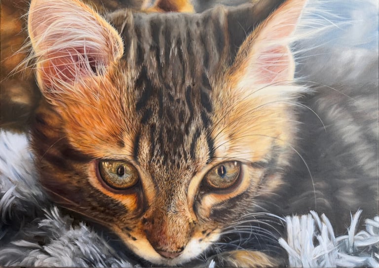 peinture animalière d'un chaton