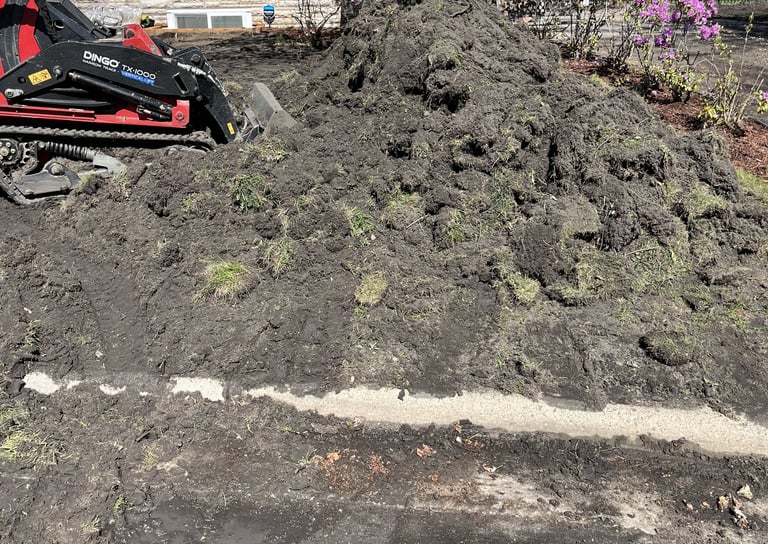 sod restoration at residential home in MN