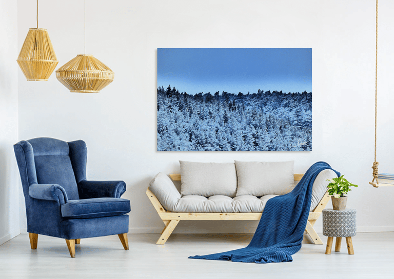 Blue Pine forest image on canvas print on wall with a chair and couch 