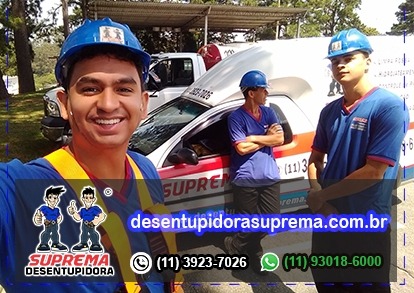 numero, site, e logo da empresa suprema desentupidora