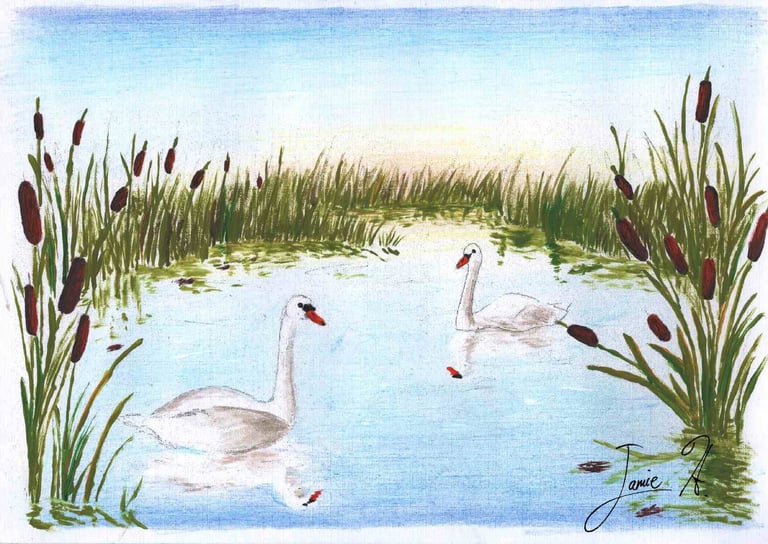 a watercolor painting of two swans in a pond