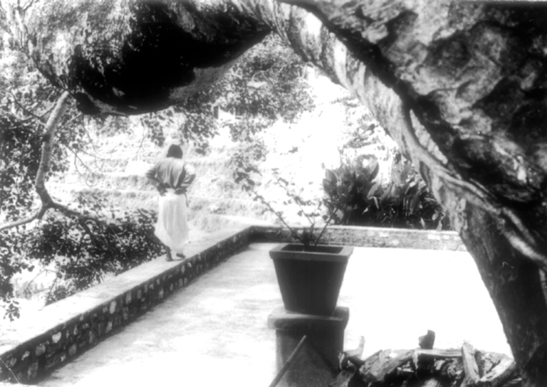 Babaji guarda la vallata dalla sua terrazza sotto il grande albero di banyan
