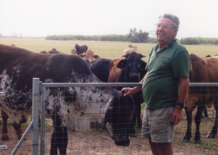 Eli with his cattle.