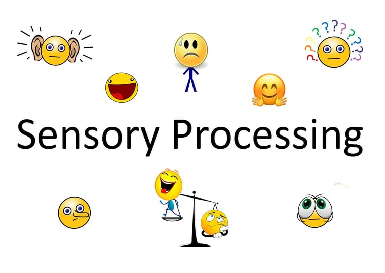 Sensory processing intro