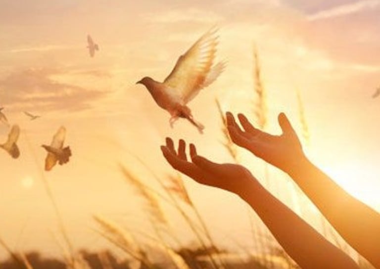 What happens when we pray but don't receive an answer?
