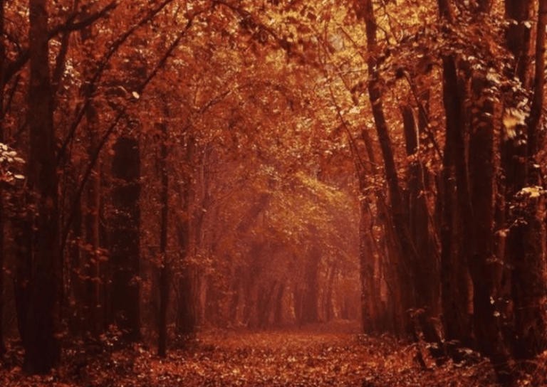 2. Reflect on Change and Renewal
