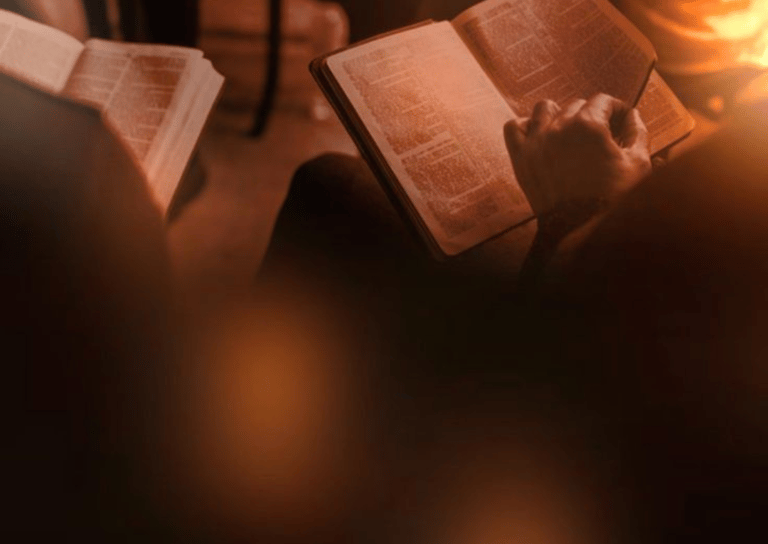 The New Testament Perspective