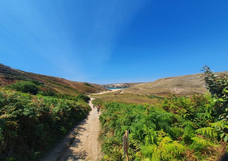 plage D'Herlin Belle-île en Mer