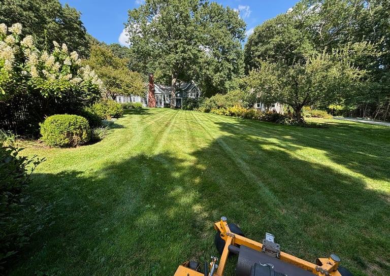 lawn-maintenance-in-north-shore-residential-yard