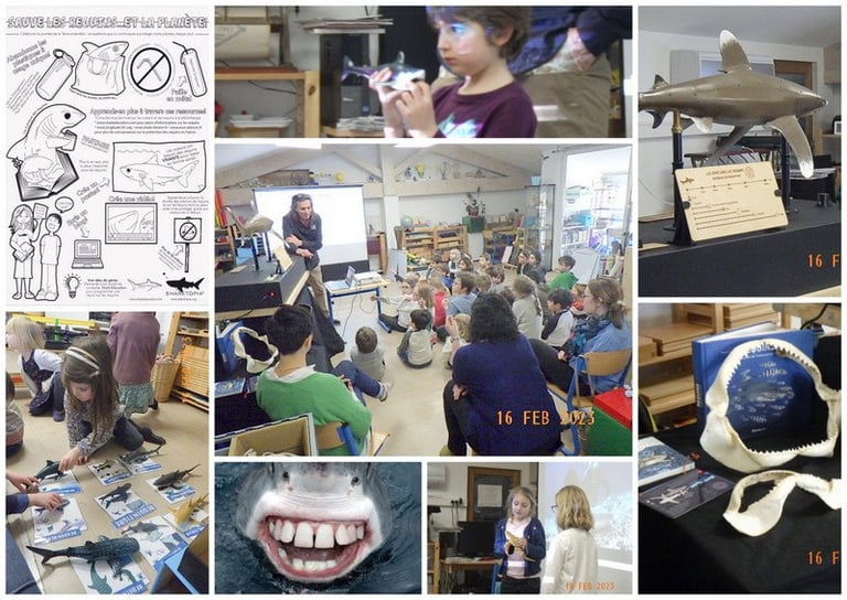 un collage d'image des différentes interventions de Shark Education Club à l'école Montessori