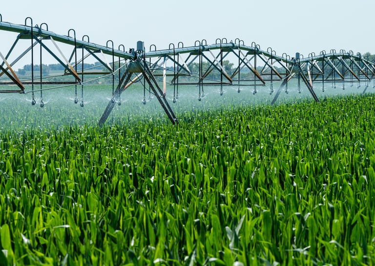 Irrigation system