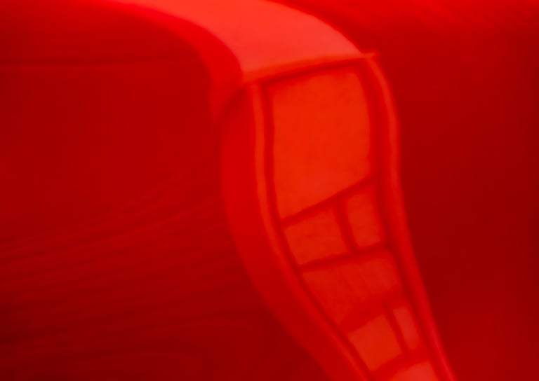 Fotografía abstracta del rojo, Artista Pablo Ruiz Carretero