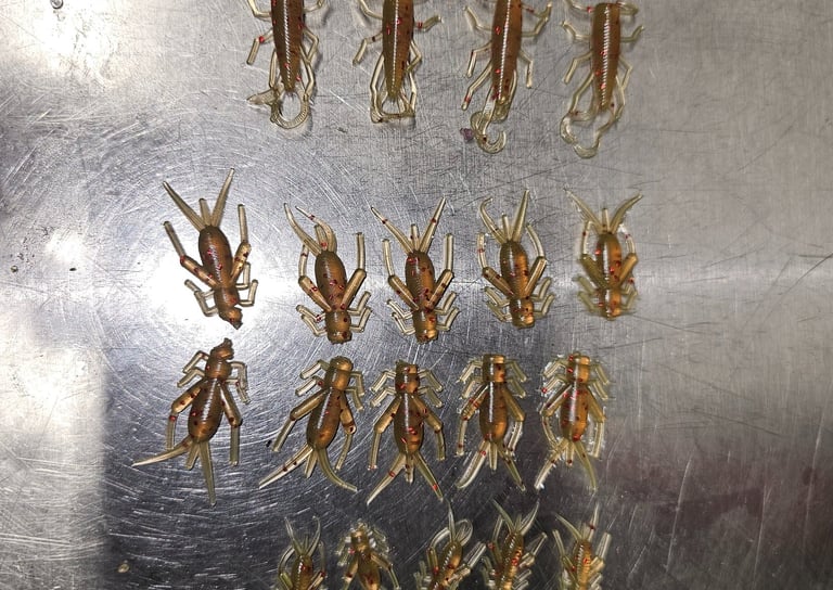 small, medium, and large crickets for panfish