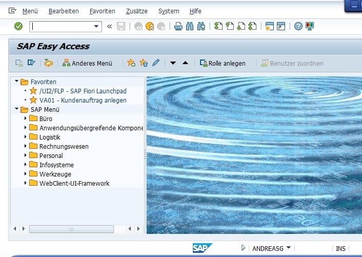 SAP