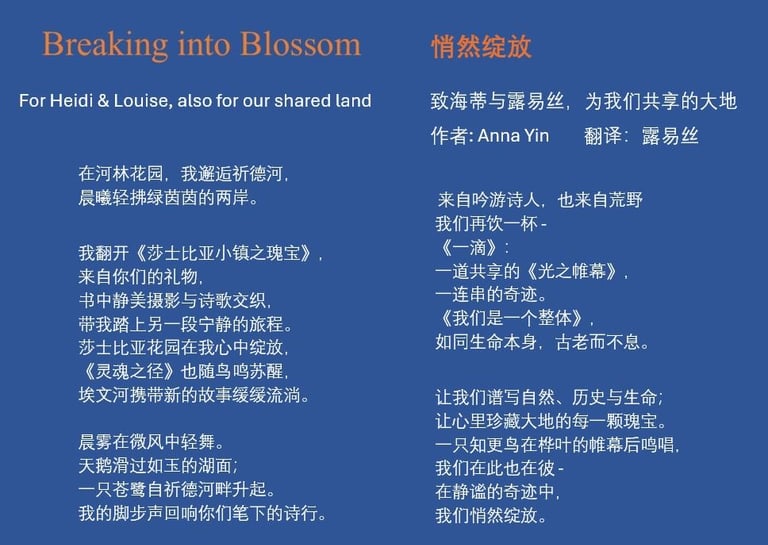 Anna Yin - Breaking into Blossom - translation Louise Liu