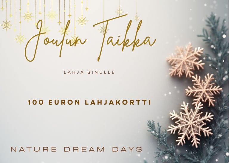 Joululahjakortti, 100 euron lahjakortti Nature Dream Daysille vaalealla talvisella taustalla ja lumi