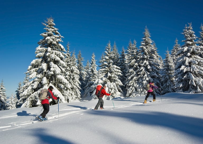 ski de rando 