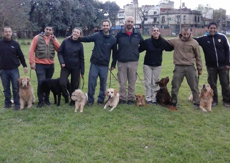 adiestrador PROFESIONAL UBA