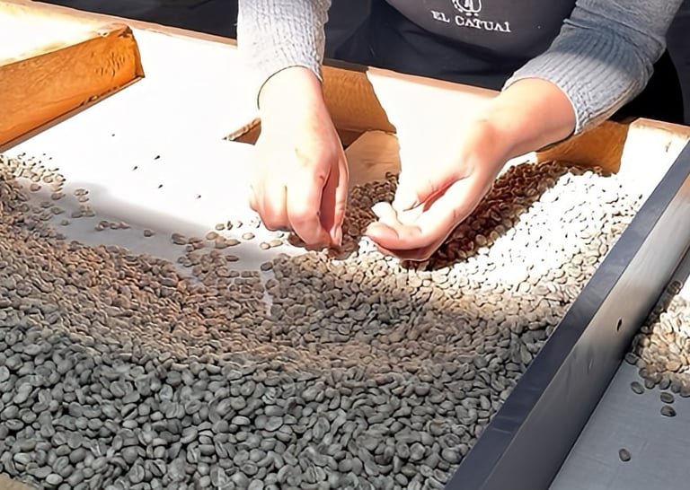 Coffee selection tables