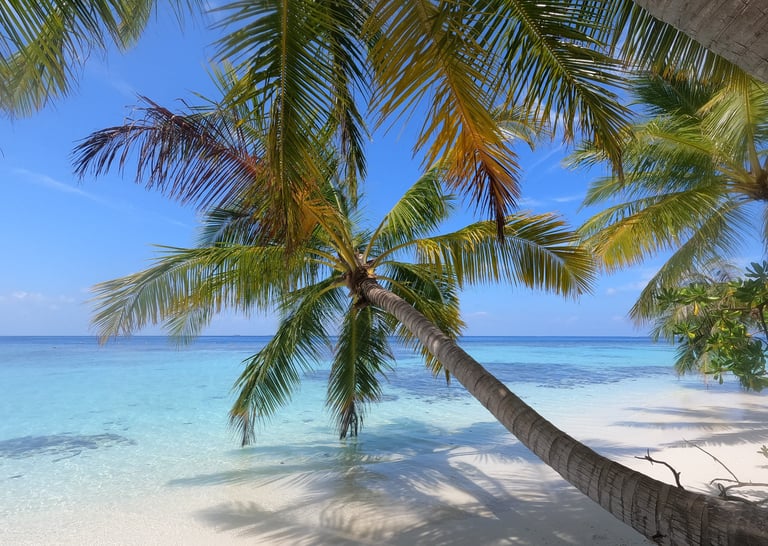 plage sable blanc palmier maldives