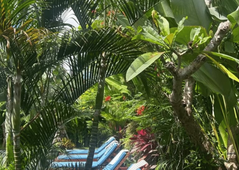 life-in-bali-freedom-healed-inner-energy-harmony