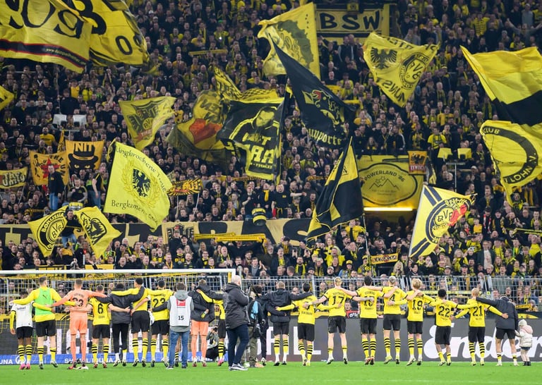 FANs BVB