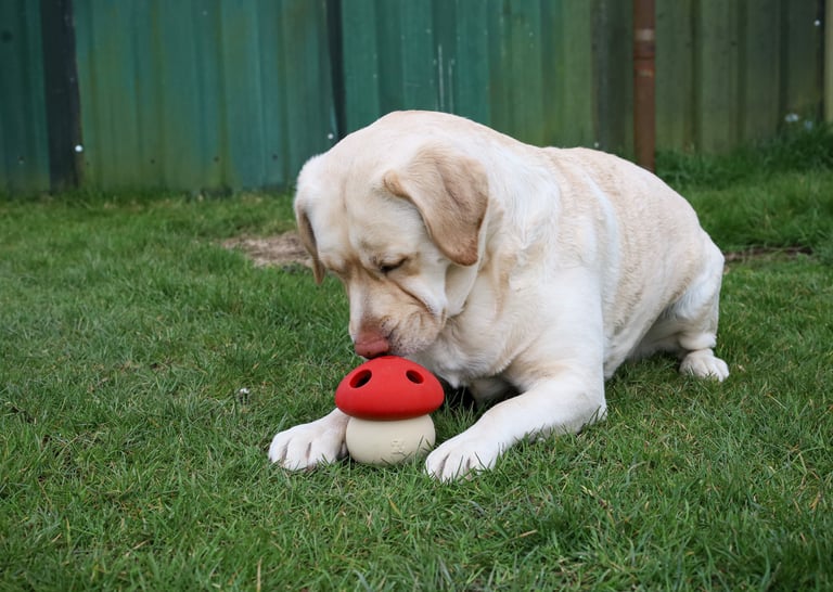 Puzzel & Plezier sessie