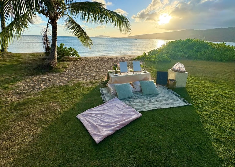 luxury beach picnic in Honolulu, Hawaii