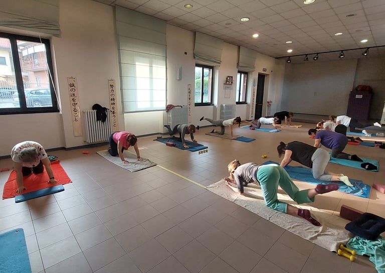 lezioni di ginnastica postulare di gruppo in palestra con fisioterapista