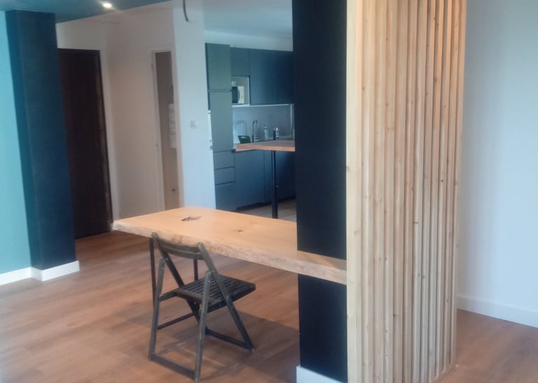 renovation appartement