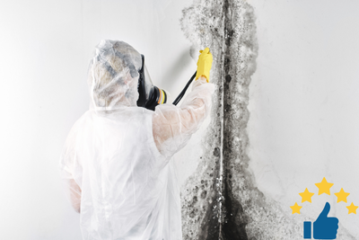 Mold Removal in Ottawa Home