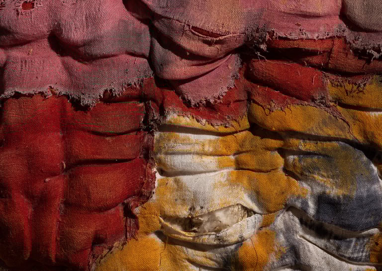 karine-nguyen-van-tham-a corps ouvert-oeuvre de residence-palazzo vendramin grimani-detail