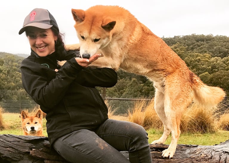 a woman in a black jacket and a dingo 
