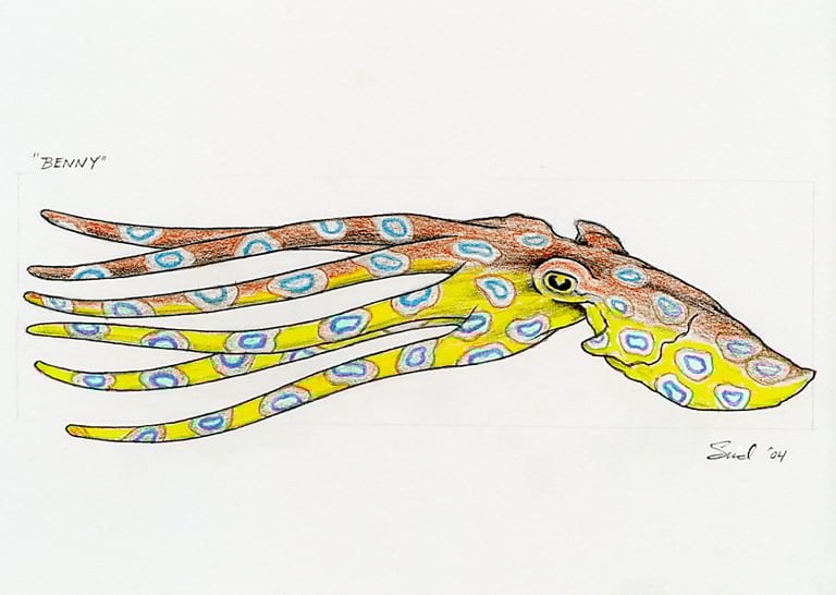 Benny: colored pencil on paper, 2004