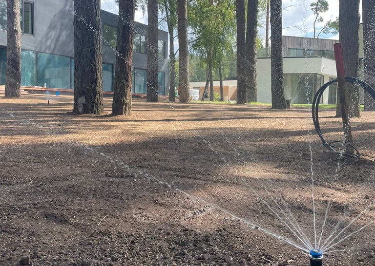 profesionalus vejos įrengimas su paruoštu gruntu