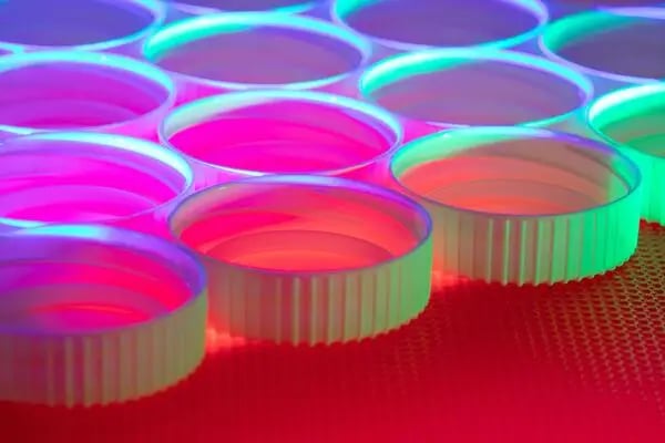 Plastic and polymer products used in construction and industrial infrastructure applications