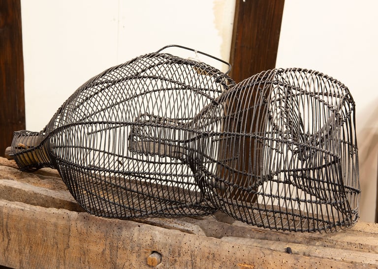 Les nasses à rats et poissons Marty, inventeur