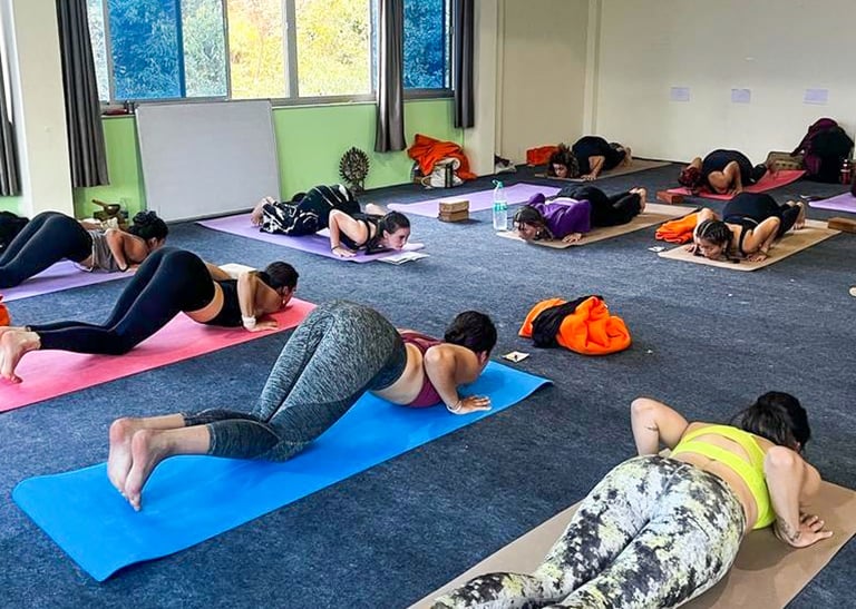 Yoga class in India practicing various asanas (yoga postures) on mats.